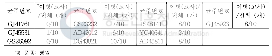 뿌리절단 침지방법을 이용한 균주별 병원성(2018년 수집균주)