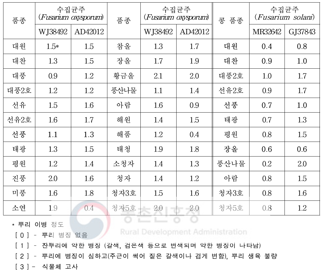 콩시들음병 수집균주 침지접종에 따른 콩 품종별 병저항성