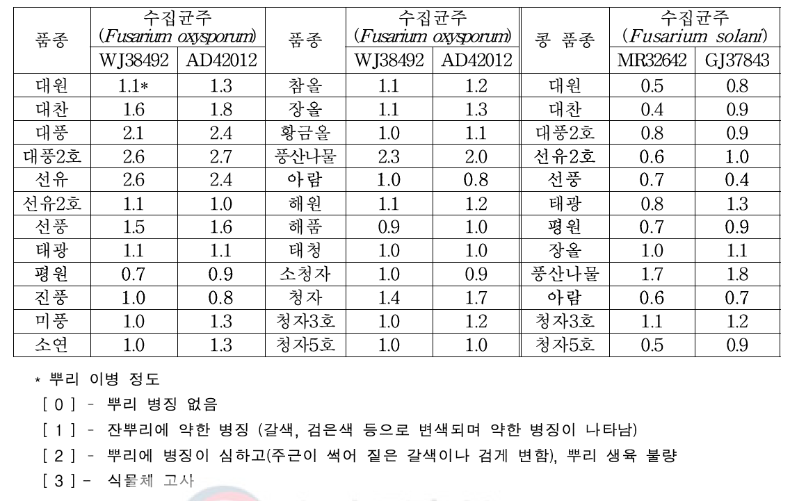 시들음병 수집균주 상토 배지 혼합접종에 따른 품종별 병저항성