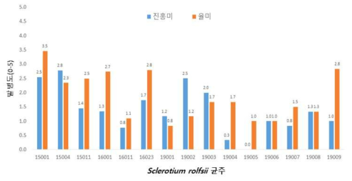 고구마에서 흰비단병 15개 균주를 이용한 병원성 검정