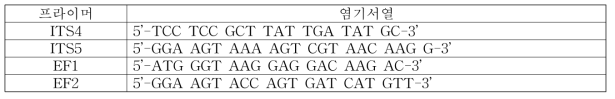 Fusarium circinatum 염기서열 분석 프라이머(White et al. 1990, O’Donnell 2000)