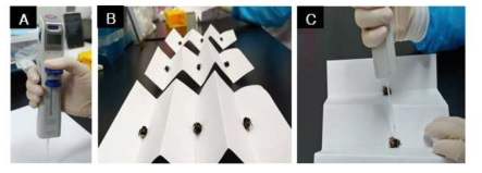 Photographs of trial materials and procedure for acute contact toxicity test: A, multipette M4 pipette; B, bumblebees placed on W-folded papers; C, individual treatment on the dorsal side of the thorax of bumblebees