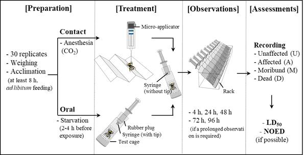 Procedure of acute toxicity tests for bumblebees