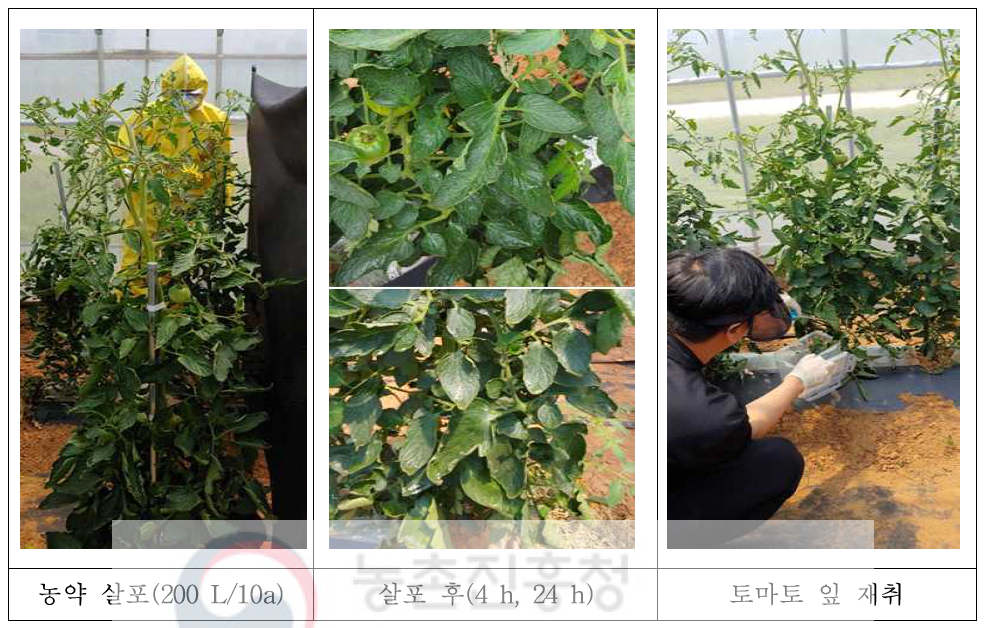 Pesticide spraying and leaf collection