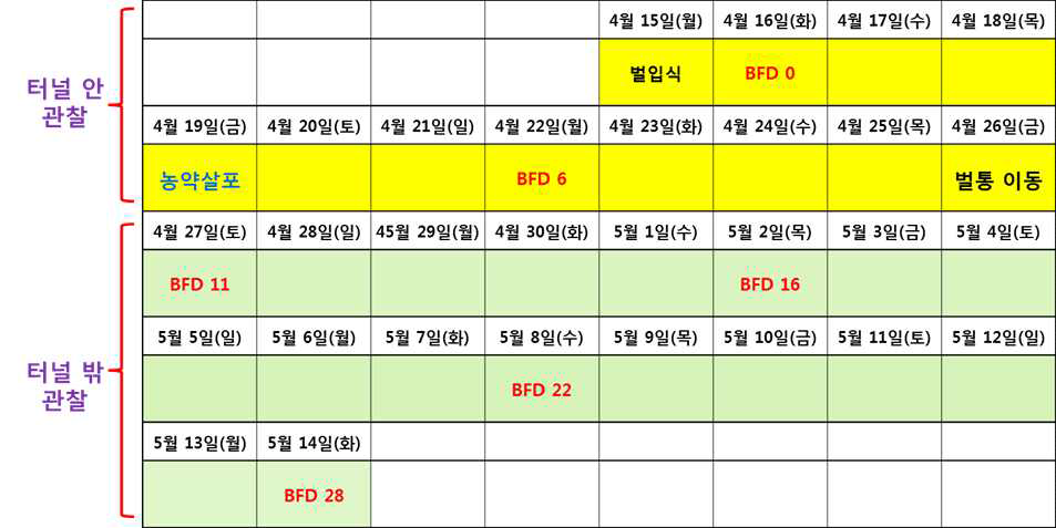 The test schedule for honeybee semi-field test(2019)