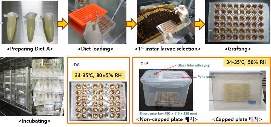 Honeybee larval repeated exposure toxicity test