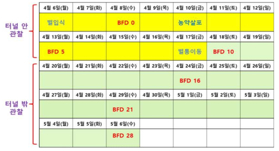 The test schedule for honeybee semi-field test(2020)