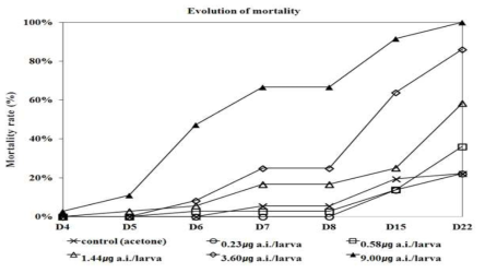 Evolution of mortality after oral application of five concentration of imidacloprid from day 4(D4) to day 22(D22)