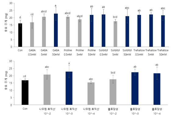 식물 효과 증진 혼합제의 양파 유묘 건조 내성 유도 효과