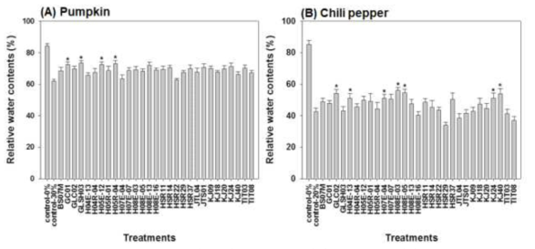 Relative water contents (RWC) of pumpkin(A) and pepper(B) seedlings drenched with polyethylene glycol(PEG) one week after bacterial treatment. Asterisks on the bar mean statistical difference by LSD ; error bars indicate standard errors