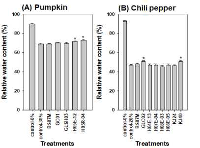 Relative water contents (RWC) of pumpkin(A) and pepper(B) plants drenched with polyethylene glycol(PEG) one week after bacterial treatment. Asterisks on the bar mean statistical difference by LSD ; error bars indicate standard errors