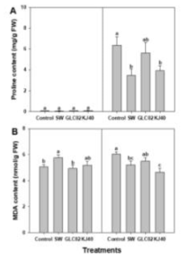 Proline content (A), MDA content (B) of pepper plants under non- and drought stressed. Left column; non- stressed, right column; drought- stressed. Small letters on the bar mean statistical difference by LSD; error bars indicate standard errors