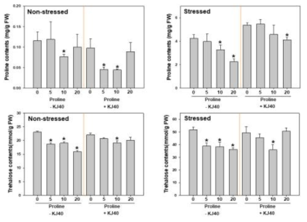 Effect of combination of proline and the selected strain KJ40 on accumulation of proline and trehalose in pepper plants under drought-stressed or non-stressed condition. Asterisks on the bar mean statistical difference by LSD test; error bars indicate standard errors