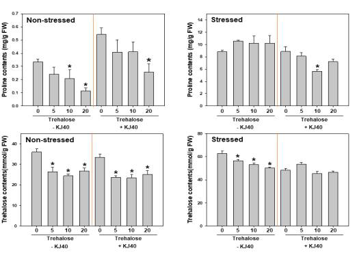 Effect of combination of trehalose and the selected strain KJ40 on accumulation of proline and trehalose in pepper plants under drought-stressed or non-stressed condition. Asterisks on the bar mean statistical difference by LSD test; error bars indicate standard errors