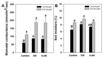 Stomatal conductance, and soil moisture of pepper plants in a plastic house. Stomatal conductance (A), soil moisture (B) of pepper plants in a plastic house. One week after bacterial treatment, first drought stress was conducted for 3 days and then re-watering. One month after re-watering, second drought stress was performed for 3 days. Letter on the bar mean statistical difference by LSD; error bars indicate standard errors