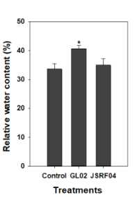 Relative water content (%) of pepper seedling drenched with 20% PEG after treatment of fungal spores. Asterisk on the bar mean statistical difference by LSD; error bars indicate standard errors