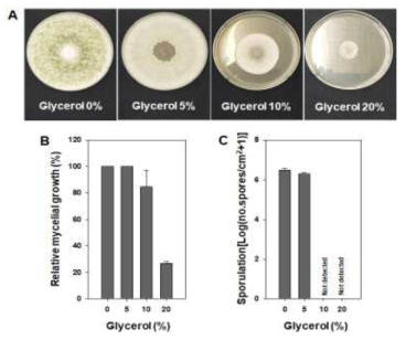 Pictures (A), relative mycelial growth (B) and sporulation (C) of Trichoderma sp. GL02 on PDA amended with various concentrations (0, 5, 10, 20%) of glycerol