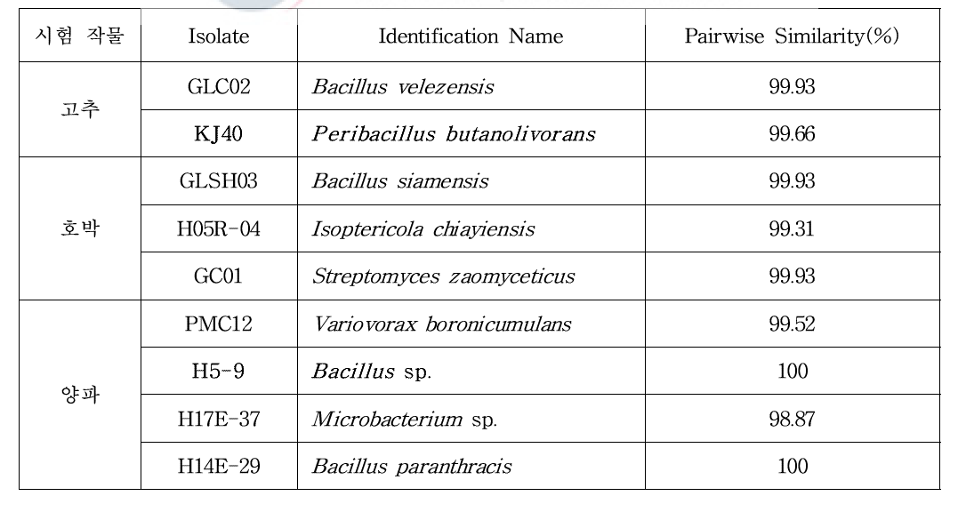 Identification list of strains screened on the basis of 16S rRNA gene sequences