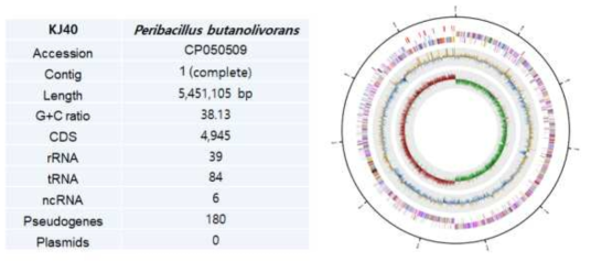 Summary of genome analysis and circular map of Bacillus butanolivorans KJ40