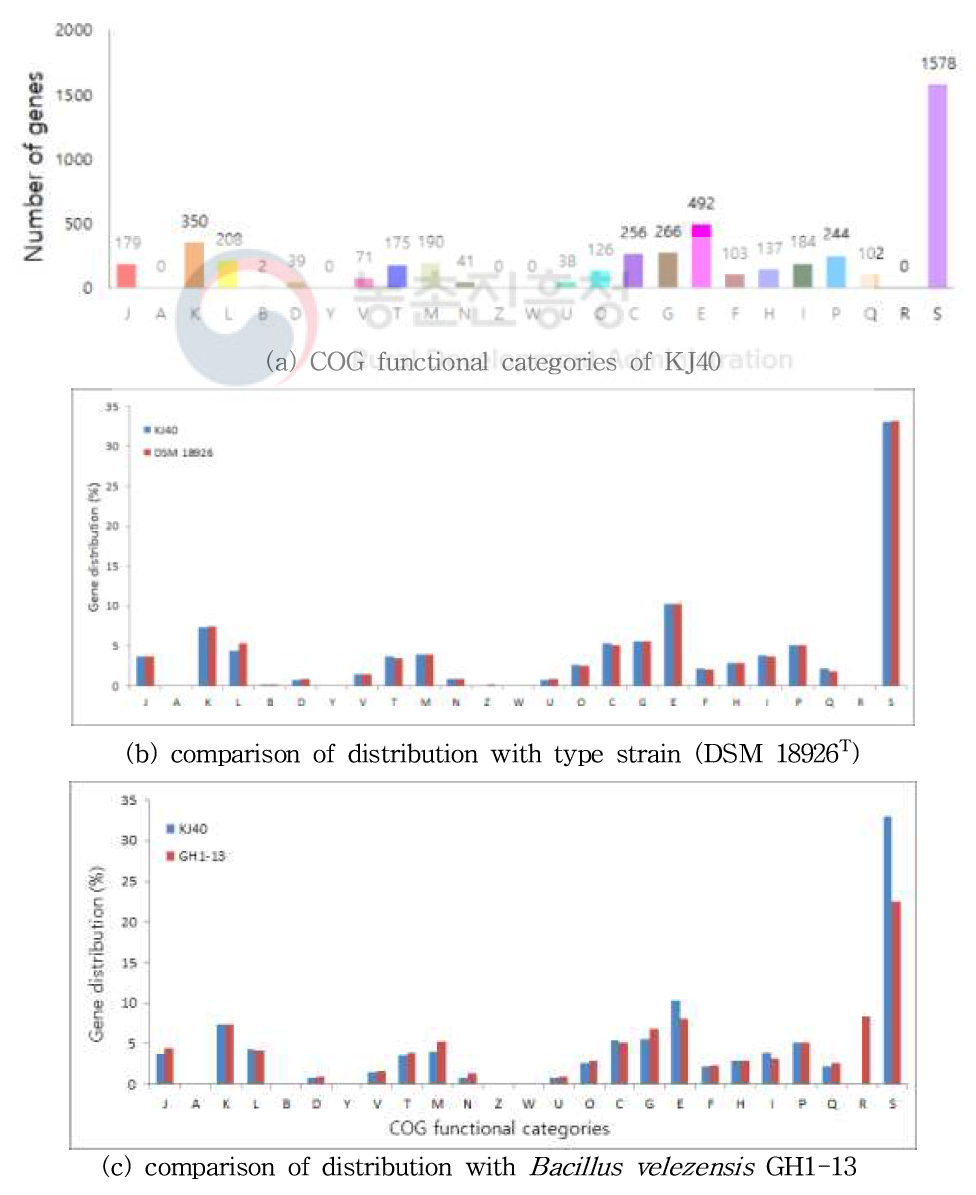 COG functional categories of KJ40 (a) and comparison of distribution with type strain (b) and GH1-13 (c)