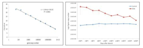 Standard and Quantification curves of KJ40 by qPCR with specific primers