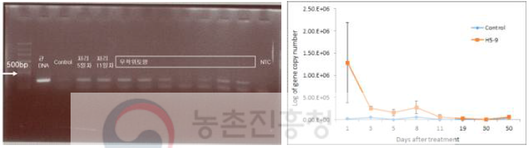 Primer specificity analysis by PCR and quantification curves by qPCR