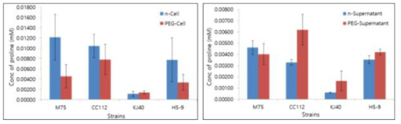 Concentration of proline from cell, and supernatant with/without 20% PEG