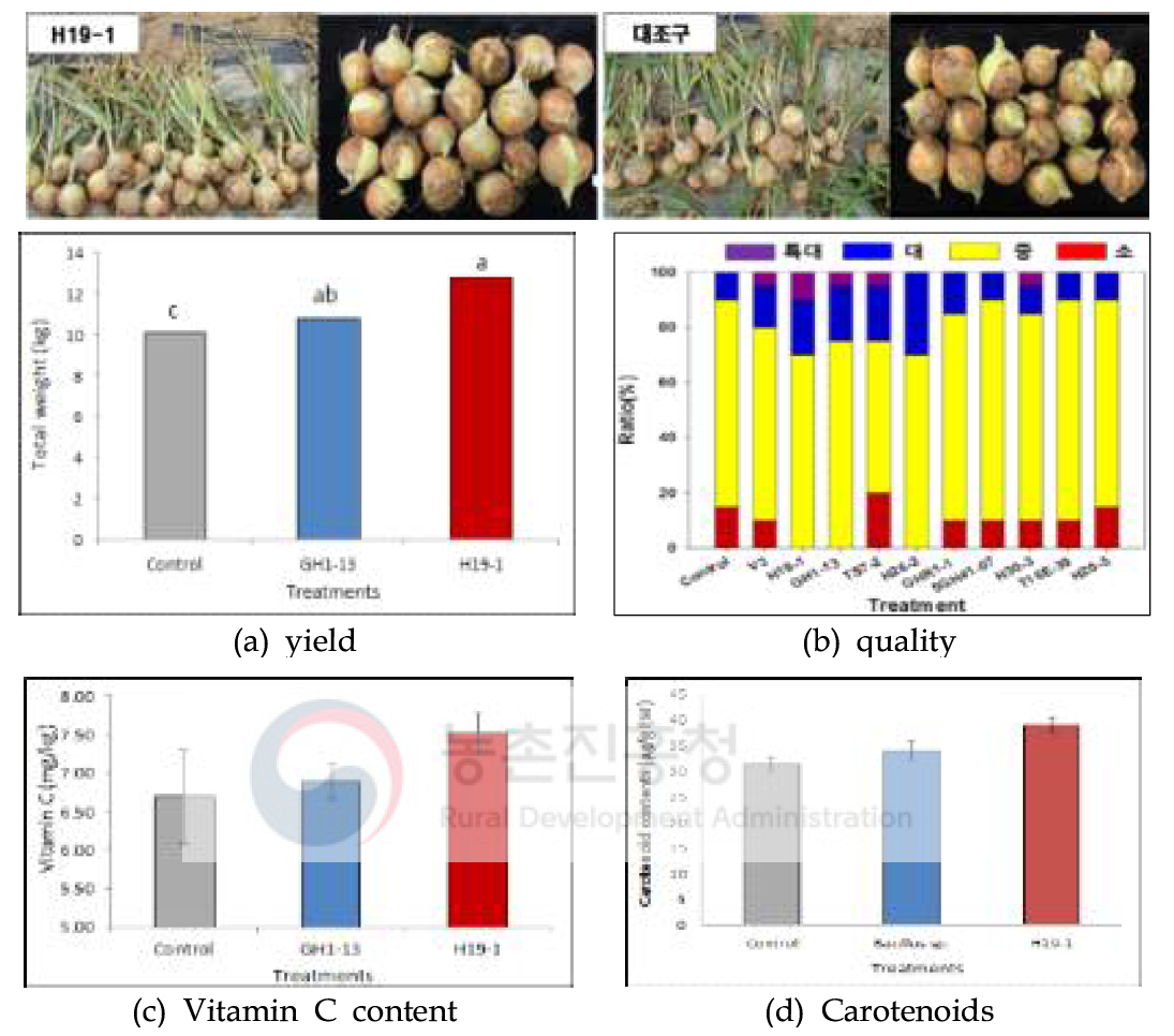 Compare of yield, quality and functional material content of onion by treatment of beneficial microbes