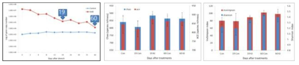 Soil sampling time (after 19 and 60 days), and comparison of richness and diversity