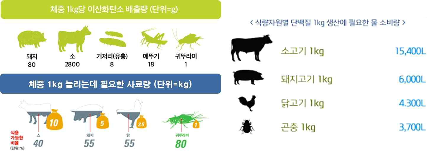 곤충의 환경학적 가치