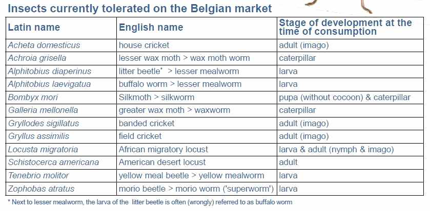 벨기에 시장에서 현재 용인되고 있는 식용곤충