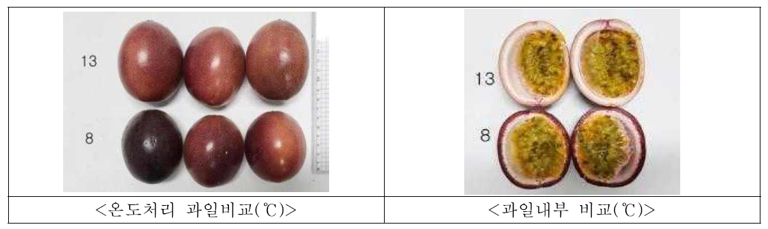 온도 처리별 과일 비교