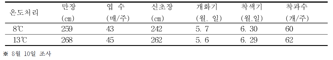 처리온도별 생육 및 착과수