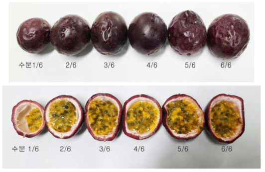 수분방법별 과일 비교