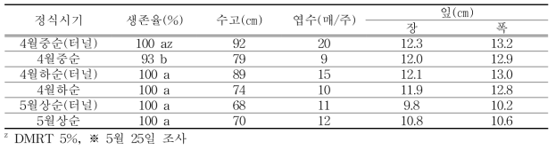 정식기별 생존율 및 생육특성