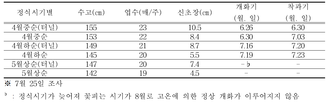 노지재배 정식기별 생육 및 착과기