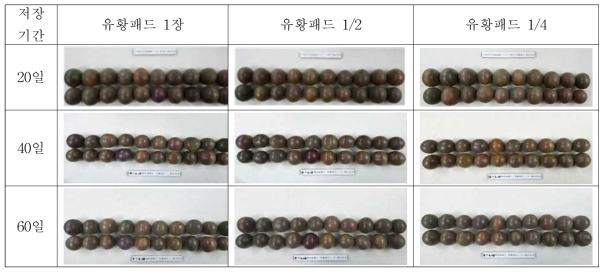 유황패드 크기별 패션프루트 중간숙과의 과피색에 미치는 영향