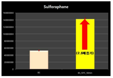 반응 전후에 따른 브로콜리 새싹의 Sulforaphane 함량(왼: 반응 전, 오른: 반응 후)