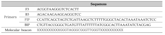 Listeria 속 검출용 LAMP primer 및 molecular beacon 염기서열