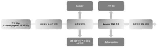 버섯 중 Listeria 속에 대한 genomic DNA 추출법 확립 과정