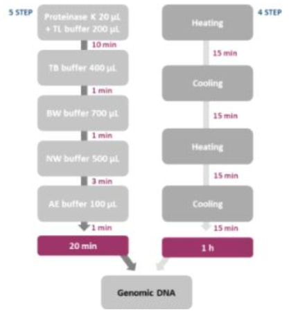 DNA 추출 kit와 boiling-cooling법을 이용한 genomic DNA 추출 방법