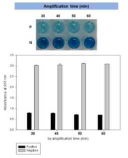 개선된 등온비색 증폭기술을 이용한 최적 반응시간 확립