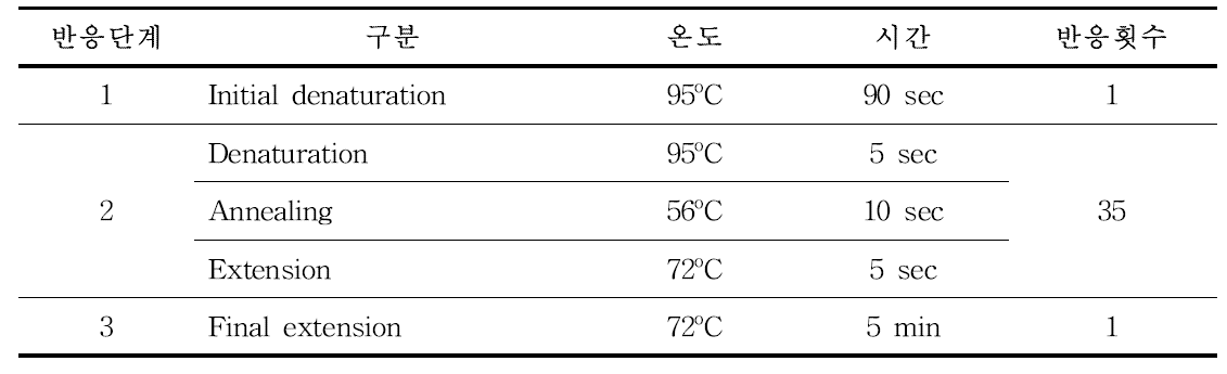 Real-time PCR 수행 조건