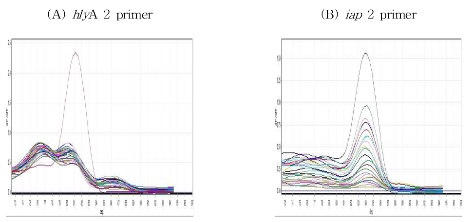 Real-time PCR 분석에서 hlyA 2 primer(A)와 iap 2 primer(B)의 melting curve(Tm)