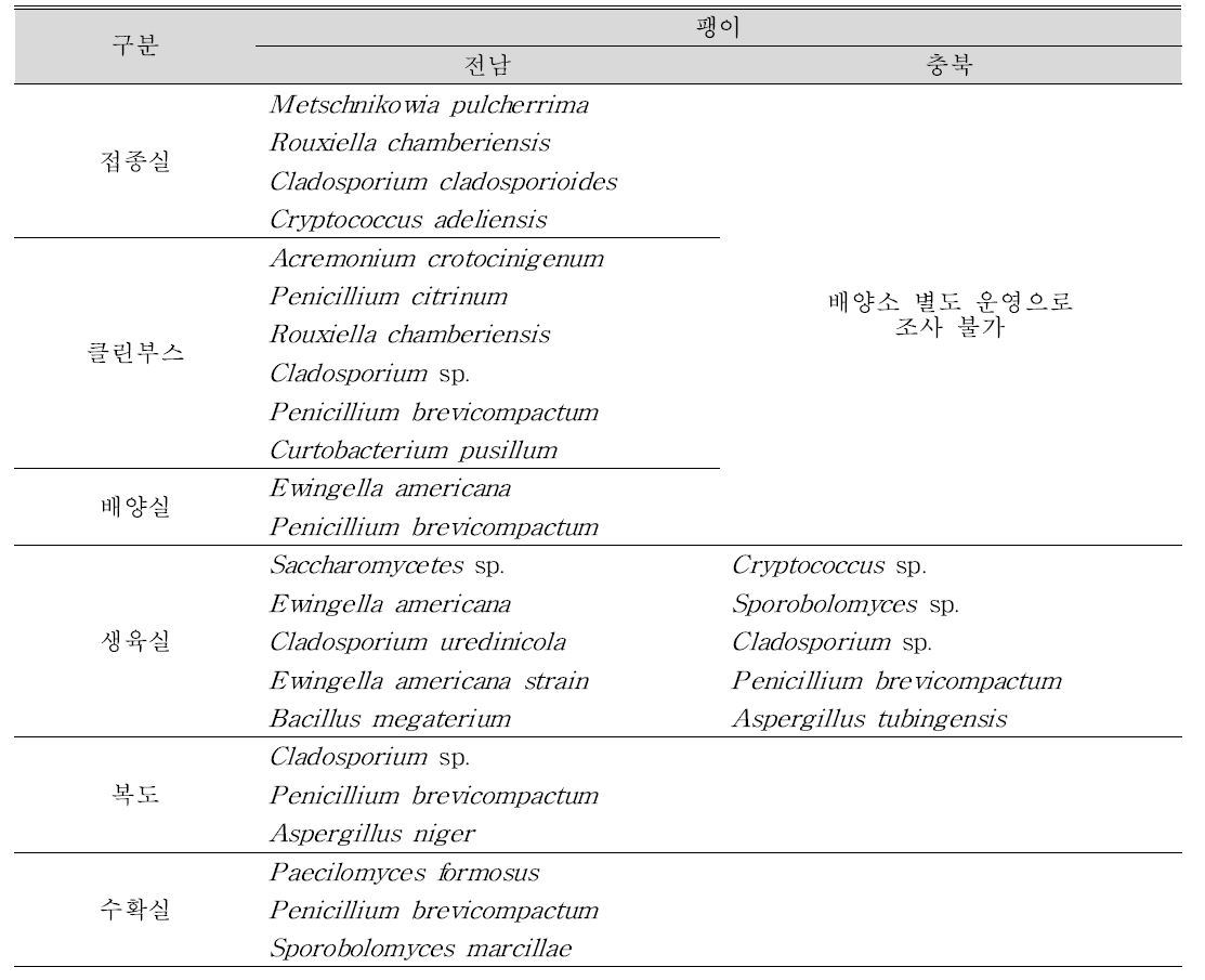 팽이버섯 재배단계별 미생물 분리표