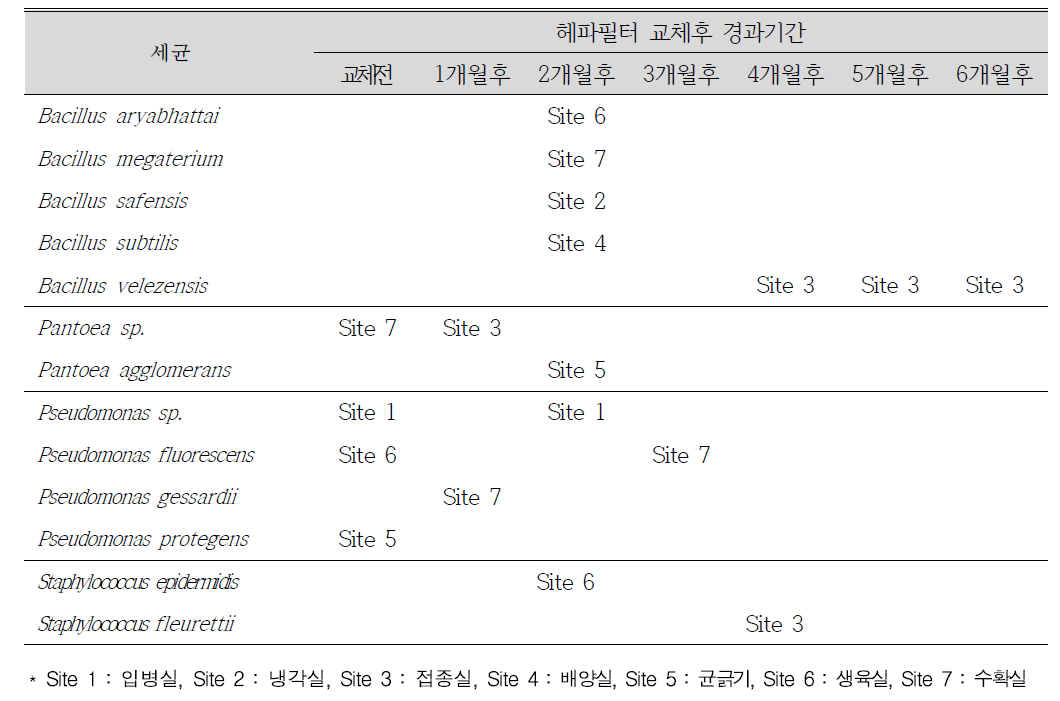 헤파필터 교체에 따른 재배단계별 미생물 다양성 분석-세균