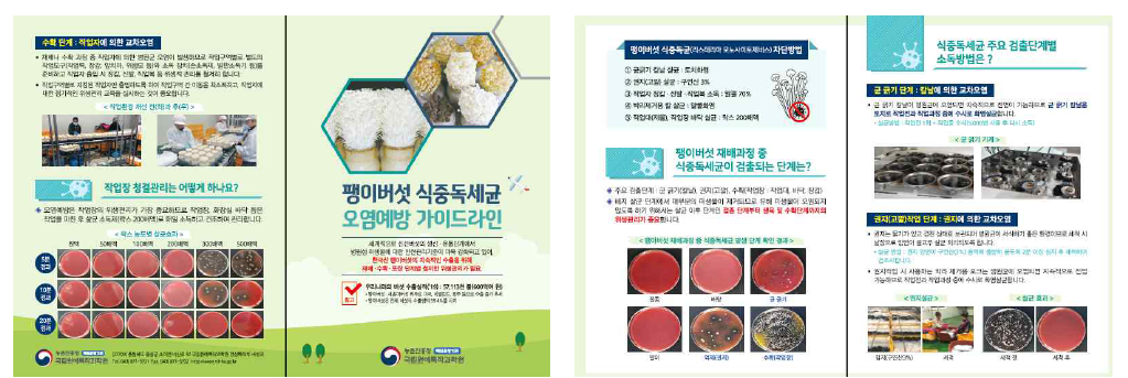 팽이버섯 식중독세균 오염예방 가이드라인(리플릿)