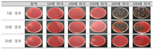 락스 농도별 리스테리아균 살균 효과