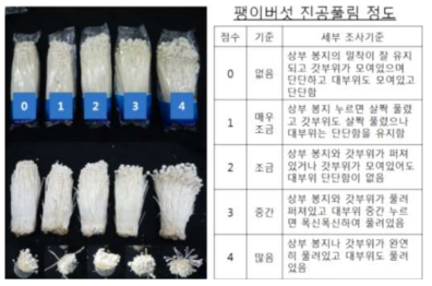 팽이버섯 낱개포장의 진공풀림 정도 조사기준 설정