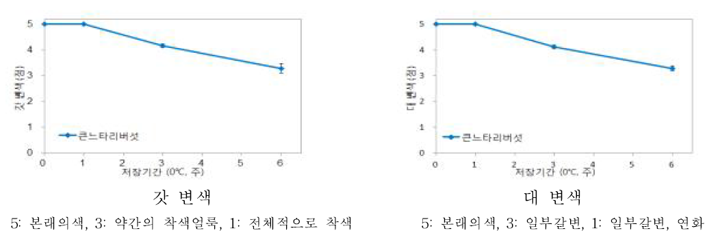 큰느타리버섯의 0℃ 저장 기간 경과에 따른 갓 변색 및 대 변색